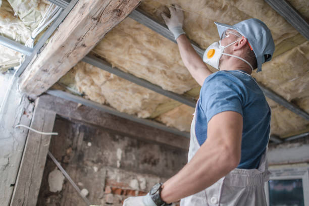 Best Eco-Friendly Insulation in , GA