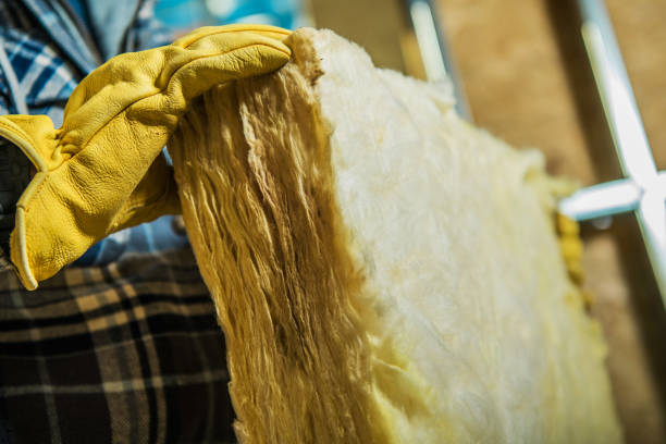 Best Geographic-Specific Insulation Services in , GA