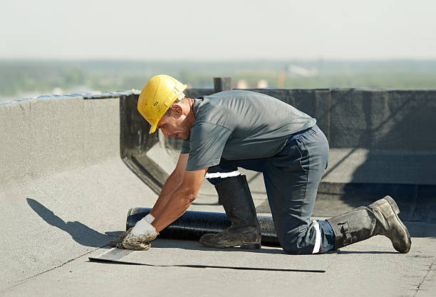 Best Cellulose Insulation in , GA